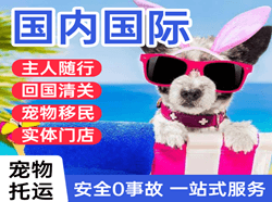 且末玉都国际宠物托运 【国